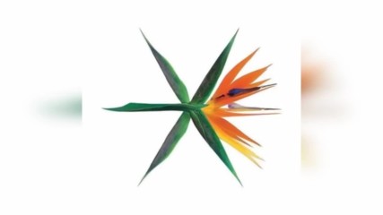 Kpop Random Play Dance 2x