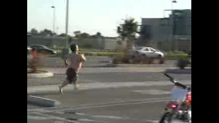 jackass 
