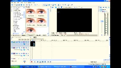 Sony vegas effect # 14