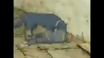 Wolfs Rain Episode 9 Part 2 - English