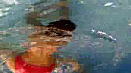 05-08-09_1156.3gp