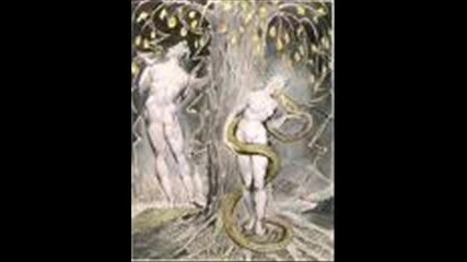 paradise lost - your own reality 