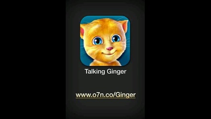 Talkingginger(9)