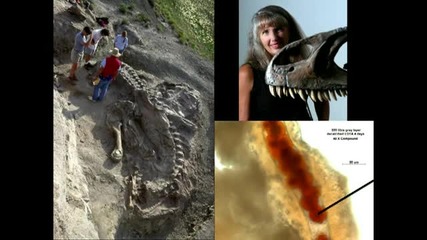 Jack Horner Building a dinosaur from a chicken