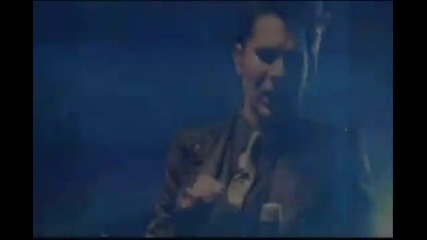 Adam, my obsession