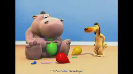 Hippo fart annoys dog 