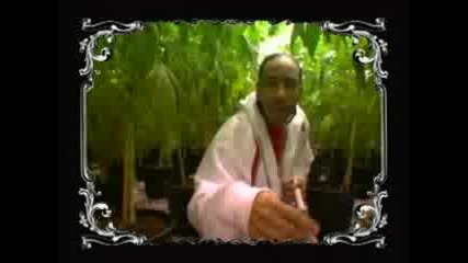 Ludacris - Blueberry Yum Yum