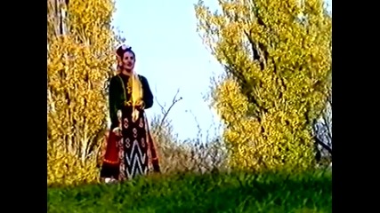 Бинка Добрева - Даньова мама (1994)