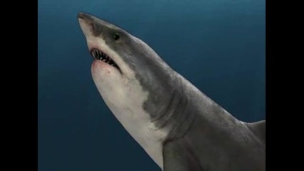 Най - Страховитите Морски Чудовища - Древните Акули ( Cretoxyrhina )