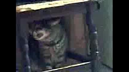 Leonsio0o0