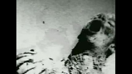 Marilyn Manson - Cryptorchid