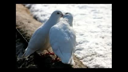 Ruby & The Romantics - Our Day Will Come (lyrics)