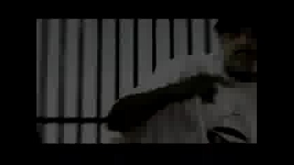 Sick Symphonies - In this Lifetime