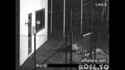 Няма такъв смях ! Най - тъпите крадци