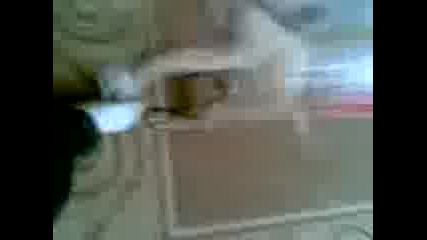 Kresna