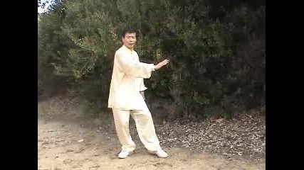 Shaolin Qigong Luohan