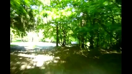 Sunny day