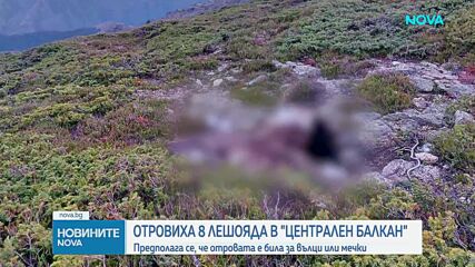 Откриха още три мъртви птици в Национален парк „Централен Балкан“