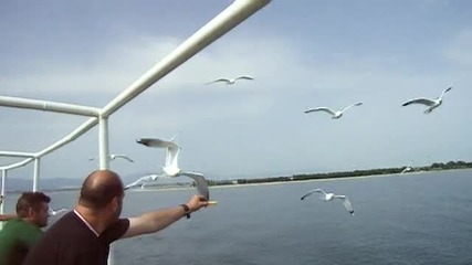 - - =*/|такива гларуси скоро не сте виждали|*= - -