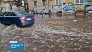 София разчиства щетите след бурята, подадени са близо 100 сигнала