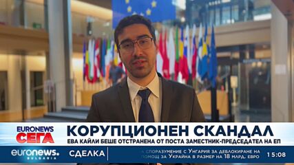 Ева от "Катаргейт" вече не е заместник-председател на Европарламента