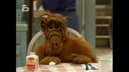 Alf - 4 Епизод