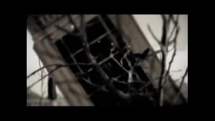 Hi - Fi Camp - Turkestanica 