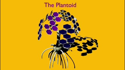 Stefano Mancuso The roots of plant intelligence 