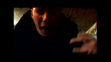 Steen - De spot