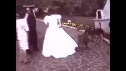 Смях С Животни