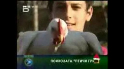 Romski izcepki