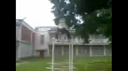 Freerun Lameri