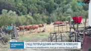 Съдът отложи делото за нападението над екип на NOVA заради ваксинацията срещу антракс