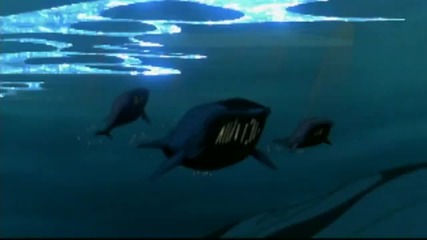 Pearl Jam - Do The Evolution 
