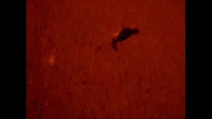 Cimg7323.avi