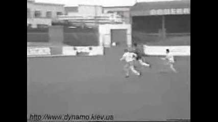 100 Funny Falls