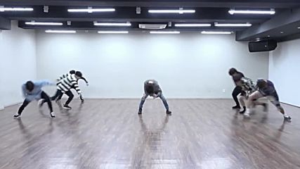 Bts - Fake Love Dance Practice Mirrored