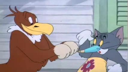 Tom and Jerry - Flirty Birdy 