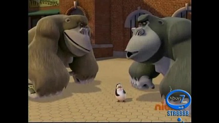 The Penguins of Madagascar - The Penguin Stays in the Picture 