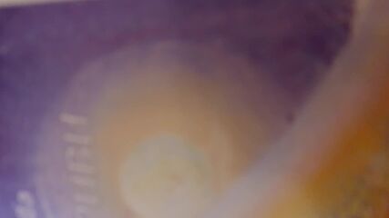 Vid_20230407_183331.mp4