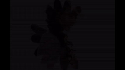 Katherine Pierce