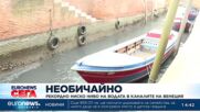 Рекордно ниско ниво на водата в каналите на Венеция