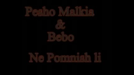pesho malkia bebo - ne pomnish li new[1].flv vbox7.mp4