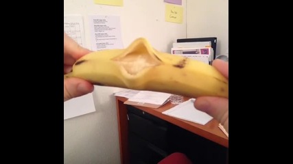 The Singing Banana
