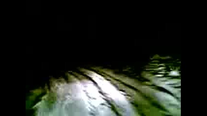 Video010.3gp