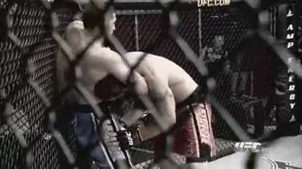 The Ultimate Fighter Team Liddell vs Team Ortiz The two left standing 