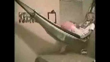 Да се пукнеш от смях - домашни инциденти