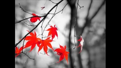 Bp Williams ~ Autumn Leaves Ambient Lounge Remix