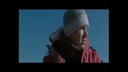Eight Below - Free like the wind