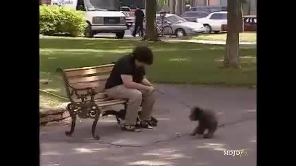 Funniest Prank In History 